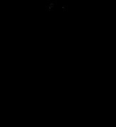線画