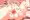 うちのこくぱぁ2