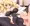 レイヴェル フェニックス