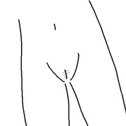 すじ