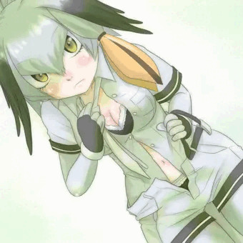 脱ぐときも目をそらさないフレンズ