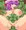ごぶちゅりー