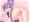 ソフィちゃん　すじ