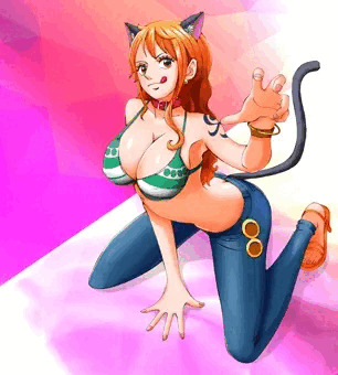 ワンピース　ナミさんは泥棒猫