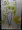 手書きポスターなう( ･ω･)