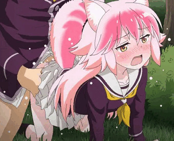 犬のしつけ