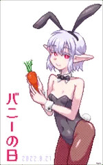 バニーの日