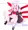 ろりおぱんつ