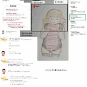 習作
