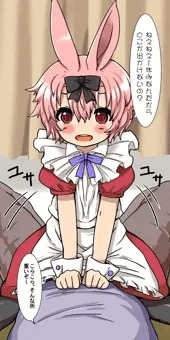 入ってません