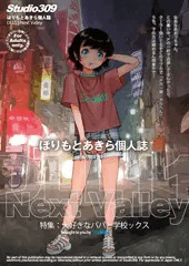 同人誌【DLL11 Next Valley】