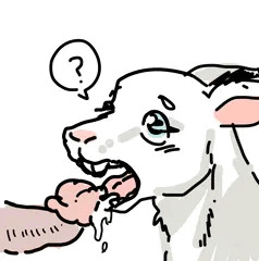 らくがき