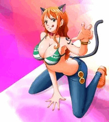 ワンピース　ナミさんは泥棒猫