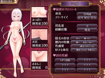 【エロRPG】あら？　処女のまま開発されてる？【エロステータス】