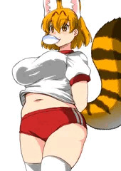 まんくいきょうそう