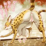 温泉に初挑戦のサーバルちゃん