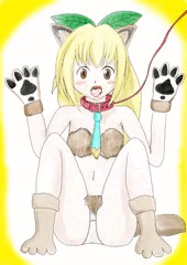いぬどし