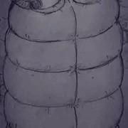 圧迫式収容檻