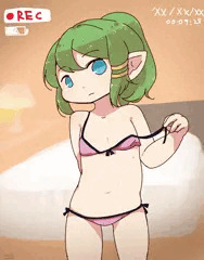 録画メモル
