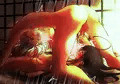 鯰骨69