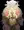 ねこのひ