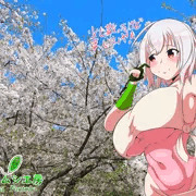葉桜！