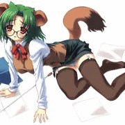 どじっこ狸さん