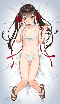 サキュバスハーフ　妹　抱き枕っぽいもの