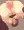 いつもの