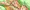 植物系魔物に犯される戦士ちゃん【即落ちシリーズ２】