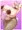 ご指名ありがとうございます♥