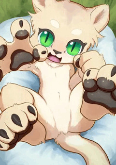 ライオンちゃん