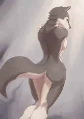 おおかみさん背中