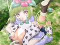 お嫁さんの種