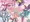 わんにゃんぷりぷりっ！