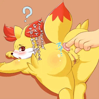 アナル責め・フォッコからマフォクシーまで