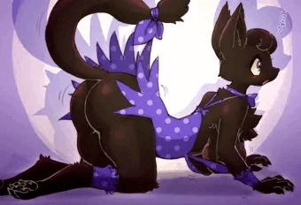 黒猫チャルコ