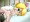ベビィロゼッタちゃんボコォ