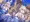流泉の衆の宴