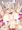うめばちちゃん