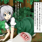 停止姦　妖夢　停止の札を貼られて