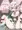 コッコロちゃん本