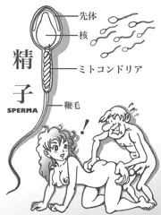 種付けした、お父さんに感謝♡