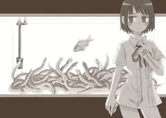 八つ目