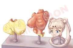 CMS : Moon candy