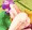 0721の日と聞いたので
