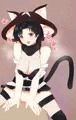 ネコキノ