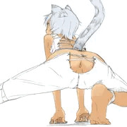 アナチラ猫さん