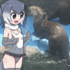 コツメカワウソかーわいー！