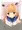 うちの子